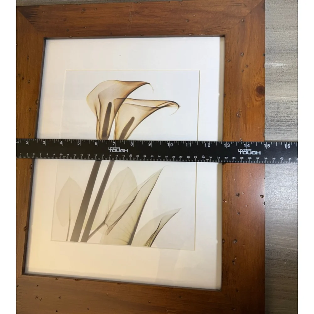 Framed Calla Lily art print approx. 15x18”